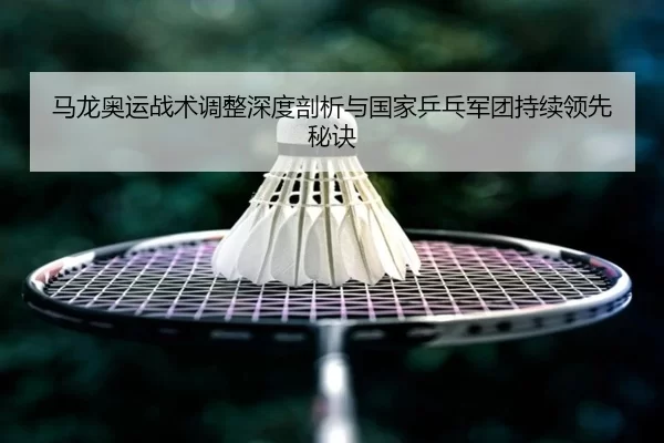 马龙奥运战术调整深度剖析与国家乒乓军团持续领先秘诀